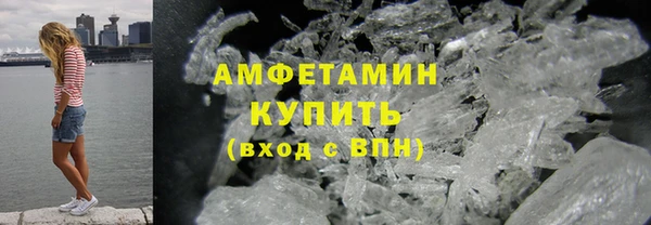 прущие грибы Абинск