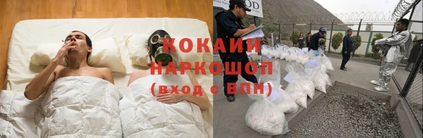 apvp Абаза