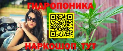 a pvp Абинск