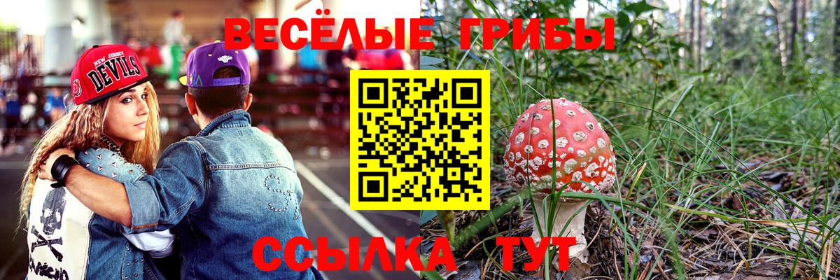 Галлюциногенные грибы GOLDEN TEACHER Алатырь