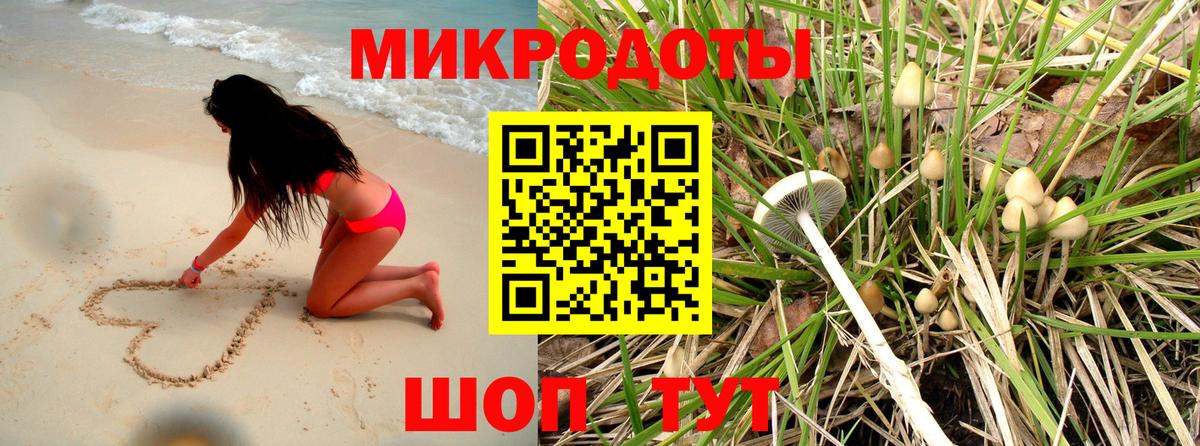 дарнет шоп  Галлюциногенные грибы Cubensis  Алатырь  Вход с VPN  Галлюциногенные грибы мухоморы 